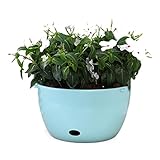 Couleur: bleu, blanc. Pots de Fleurs à Suspendre Planches suspendues Plastique Soi à l\'eau Vase monté sur Mur de Vase for Fleurs Plants Pots for intérieur extérieur extérieur Jardin Jardiniere Suspendue