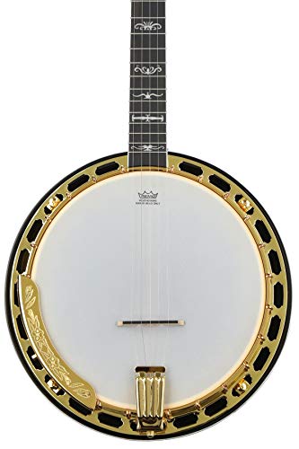 Washburn B17K Banjo (5 String) cover