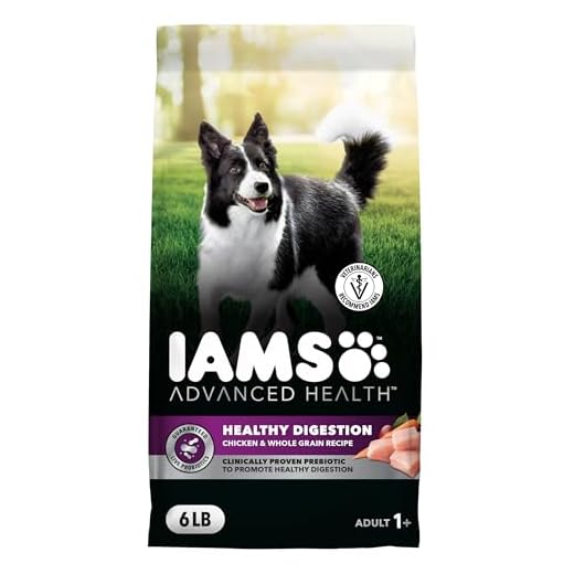 IAMS Advanced Health Dry Dog Food Healthy Digestion, Adult Dog Food with Real Chicken Recipe, 6 lb. Bag