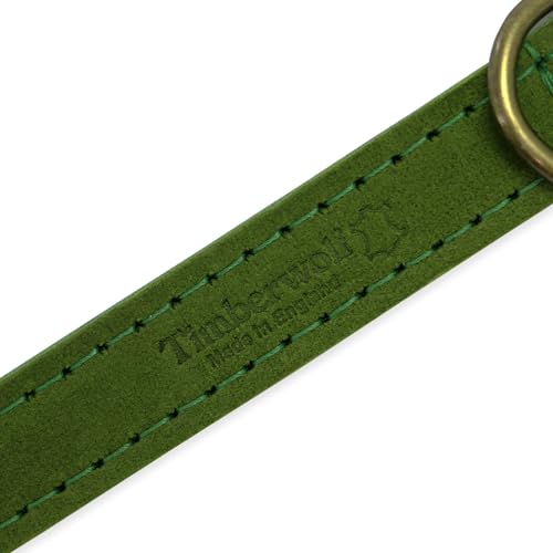 Ancol Hundehalsband aus grünem Leder für Hunde und Welpen, hochwertiges genarbtes Zaumzeug, Haustier-Trainingshalsband, handgefertigt in Großbritannien, langlebiges und geschmeidiges Design, Größe 26