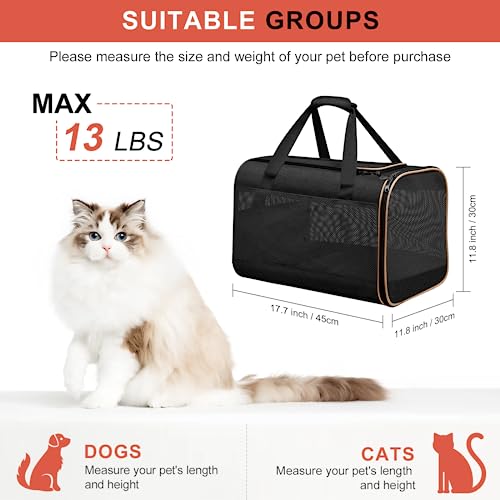 Cinnani hundetasche, Hunde transporttasche Umhängetasche, ideal für Reisen, robust, langlebig, aus hochwertigen Materialien,Schwarz