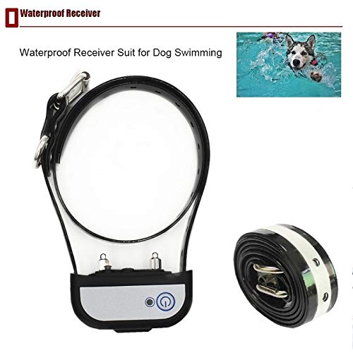 Forces et compromis du système NX sans fil