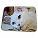 3dRose Relaxed Van Cat - white cat, van cat, turkish van cat,... - Dish Drying Mats (ddm-52679-1)