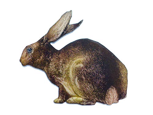 Miniblings lapin lièvre imprimé Broche chasse de la faune en bois forêt animale - bijoux à la mode à la main I Pin de Button Pins