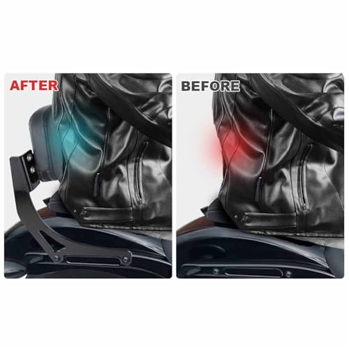 Sissy Bar Harley Davidson Street Bob 2018-2020 Dossier Passager Softail FXBB 114 FXBBS Black - 5