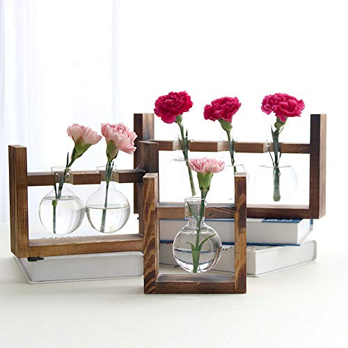 Terrario de plantas con soporte de madera para colgar en la pared, maceta de vidrio