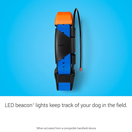 Garmin-T-5X-Dog-Device-Tracking-and-Training-Dog-Device-with-Collar-Rugged-and-Water-Resistant-High-Sensitivity-GPS-Blue