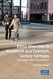Ethnic Minorities in Nineteenth and Twentieth Century Germany: Jews, Gypsies, Poles, Turks and Others: Themes in Modern German History