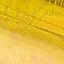 Pro Gold