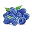 Blue Raspberry