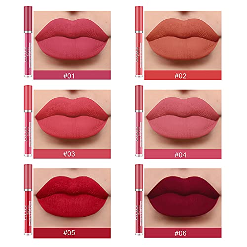 evpct 6Pcs Matte Liquid Lipstick Set Lip Stain Makeup Kit 24 Hour Long Lasting Waterproof Dark Red Stay on Lipsticks Set for Women Matt Lippies labiales larga duracion 24 C-01