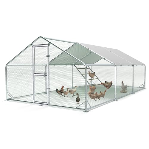 Large Metal Chicken Coop, Outdoor Chicken Run with Cover, 10 x 20 x 6.5 FT