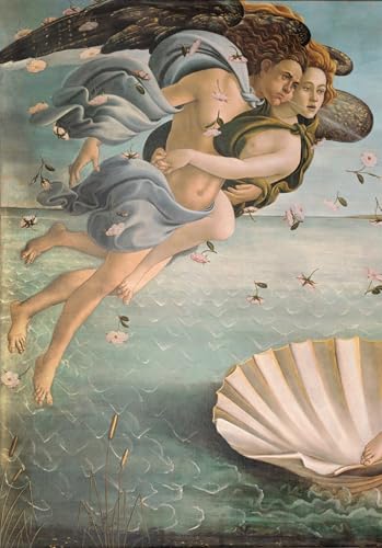 Affiche de La Naissance de Vénus Botticelli impression d'art murale 60x90cm