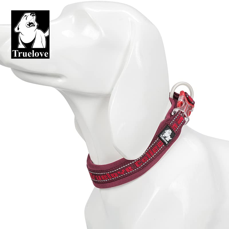 WINHYEPET True Love Reflective Dog Collar - Image 3