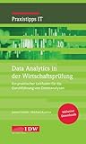  Data Analytics in der Wirtschaftsprüfung: Erhebung und Analyse von Daten (IDW Praxistipps IT: Digitalisierungshilfe für Wirtschaftsprüfer)
