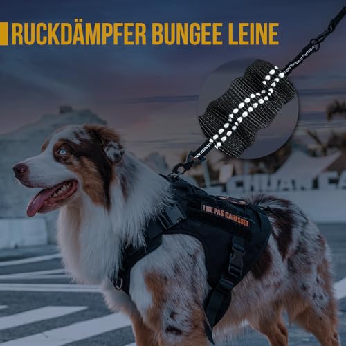 OneTigris Ruckdämpfer Hund 51cm, Hundeleine Nylon mit Tiger Zahn Metallclip, Leinenverlängerung Reflektierend für Spaziergänge, Radfahren