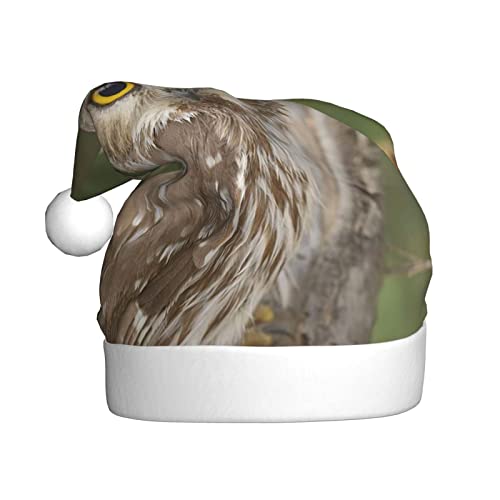 DANLIM Chapeau de Noël en forme de chouette pour femme, chapeau d'hiver, chapeau neutre, adapté aux adolescents, adultes