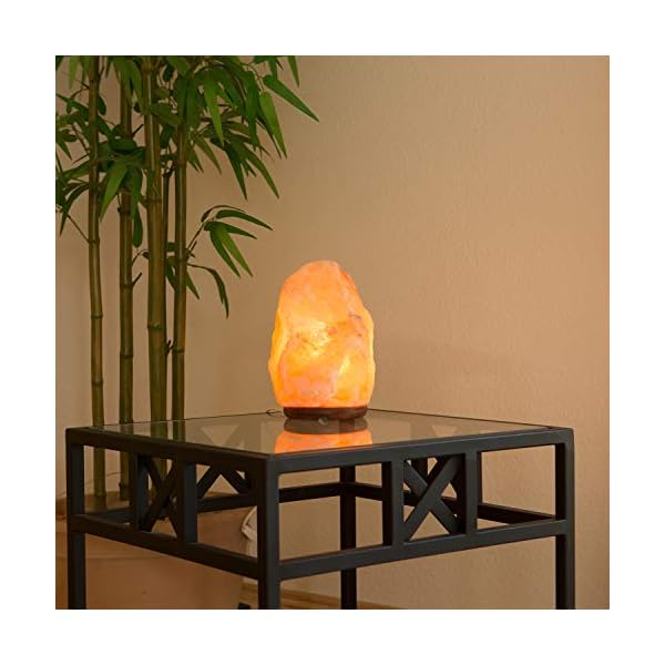 Biova Salz Kristall Stein Lampe Salzlampe Leuchte ca. 9 -12 kg in 1A Qualität