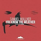  You Know the Weather (Raytek Remix)