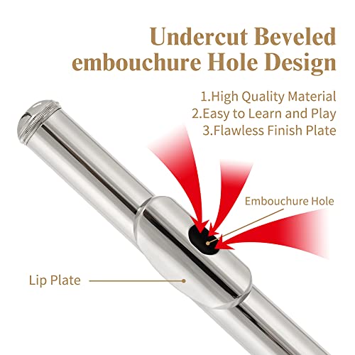 Yasisid YF-1 Closed Hole C Flute 16 Keys Instrument thumb #1