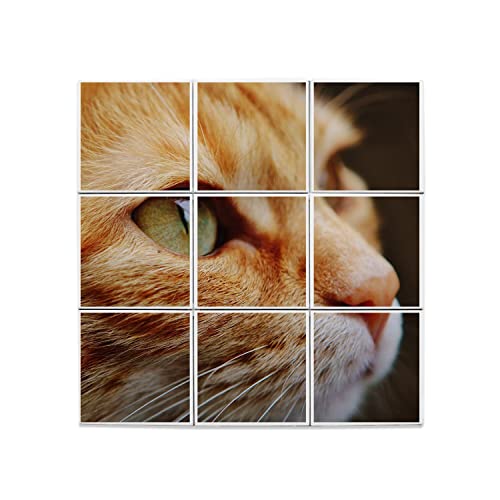 Carreaux Céramique Décoratif Chat Roux cadeau idéal pour amoureux des animaux