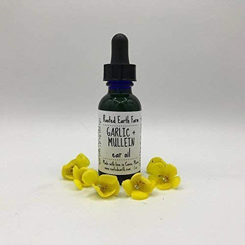 Miniatura 7 de Garlic and Mullein Ear Oil, 1 fluid ounce, For Ear Issues Rooted Earth Farm