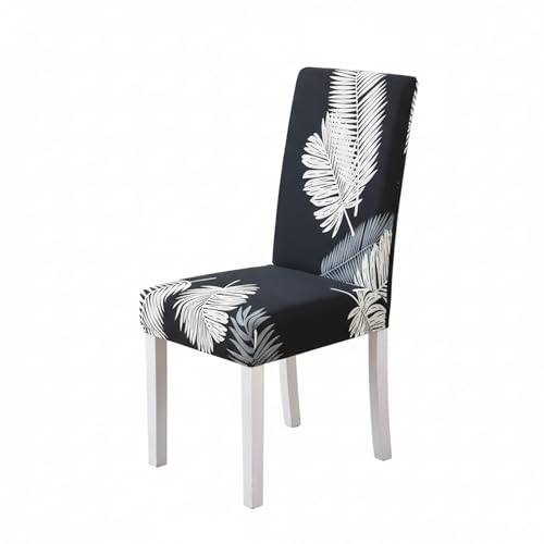 Image of House of Quirk Elastic Chair Cover Stretch Removable Washable Short Dining Chair Cover Protector Seat Slipcover (Pack of 1, Black Fern)