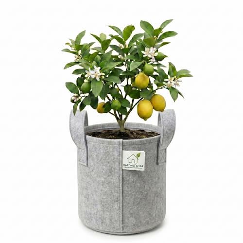 Image of 400 GSM Geo Fabric Round Grow Bags 8x8 Inch with Handle, Grey Planting Bags for Terrace and Kitchen Gardening Pack of 1