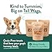 Portland Pet Food Company Natural Dog Treats Variety Pumpkin Gingerbread & Bacon Dog Biscuits - Grain-Free, Human-Grade Healthy Training & Snacks - Puppy, Small, Large Breed - Made in the USA - 3 Pack