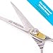 Equinox Professional Hair Scissors - Hair Cutting Scissors Professional - 6.5” Overall Length - Razor Edge Barber Scissors for Men and Women - Premium Shears for Hair Cutting For Salon and Home Use