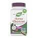 Nature's Way Standardized Horse Chestnut TRU-ID Certified Non-GMO Project Vegetarian; 90 Count (Packaging May Vary)