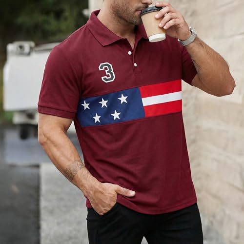 Image of Men's Polyster Stretchable Polo T-Shirts Half Sleeves Regular Fit T-Shirt for Everyday Wear