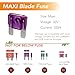 Maxi Blade Fuse kits-10 PCS 32V(12/24V) 100A Automatic Replacement Blade Fuse for Car/RV/Boat/Home et (100A)
