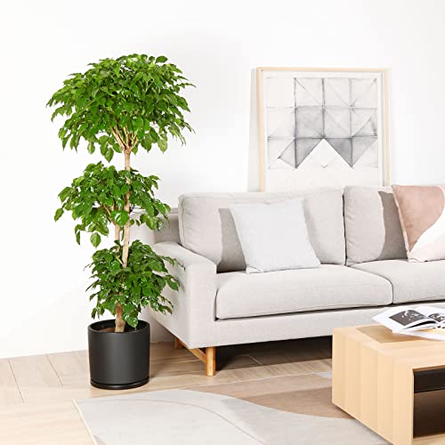 Kazeila 12 Inches Ceramic Planter Pot - Saucer And Drainage Hole - Full Glazed - Matte Black #TOP5