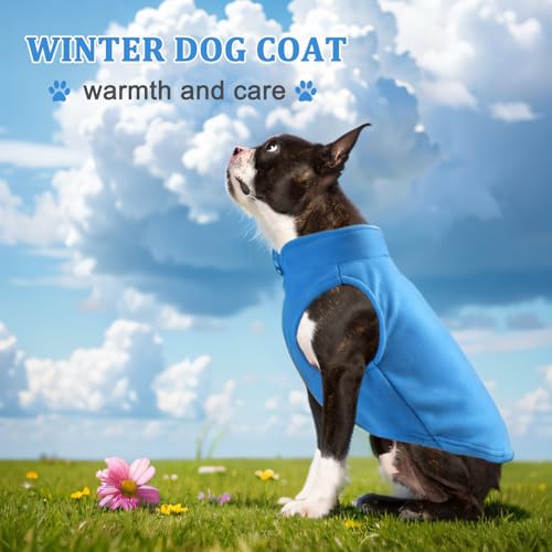 Hundeweste Fleece Pullover Winterjacke für kleine und mittlere Hunde mit D-Ring Leine Kaltwettermantel Hoodie, Blau,M