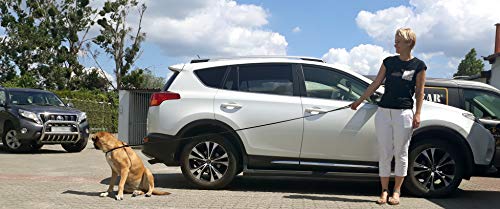 Dingo 10783 Ausstellungsleine aus weichem Leder mit geflochtenem Griff, handgefertigt, Schwarz