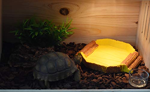 OMEM Reptile Food Bowl Reptile Habitat Breeding Box, for Tortoise, Insect, Crickets, Crabs, Other Reptiles Animal or Amphibians (Trapezoid Food Bowl)