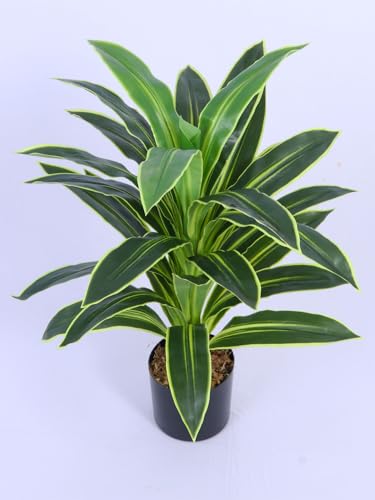 Image of ARICK DECOR 3Ft Artificial Variegated Dracaena Plant in Pot, 3ft Realistic Faux Song of India Tree, White Green Peacock Shaped Floor Plant for Home & Office