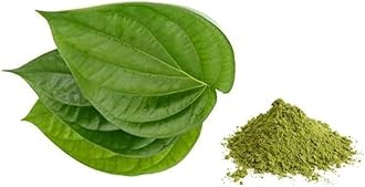3V PRODUCTS Betel Leaf Powder 50g | Paan Leaf | Vetrilai | Banarasi Paan