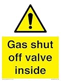 Viking Signs