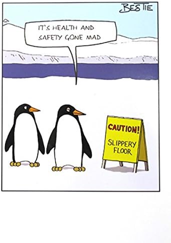 Humorous Greeting Card (PLK6290) - Blank/Birthday - Penguins - Health and Safety - Bestie Range