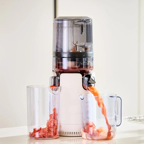 Image of Hurom E50ST Cold Press Juicer for Home, Premium Slow Juicer with Sorbet Strainer, All-in-1 Juicer for Fruits, Vegetables, Nut Milk & Ice cream, World's No. 1 Slow Juicer Brand since 1974 (White)