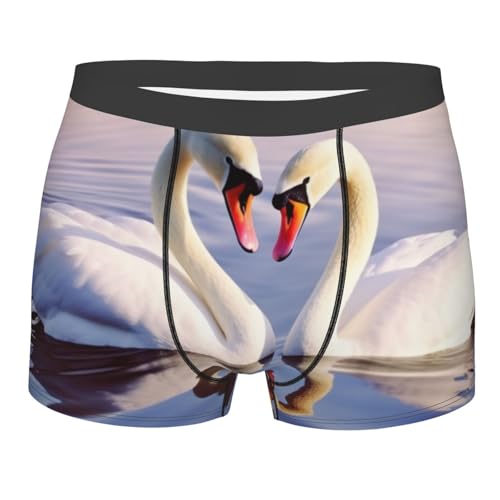 Men's Underwear swan heart Boxer Briefs Ultra Breathable Stretch Mens Moisture Wicking Underwear