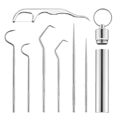 Cryofplze 7 Piezas Palillos de Dientes de Acero Inoxidable 304, con Soporte y Llavero, Reutilizables para Acampar al Aire Libre, Picnic, Viajes