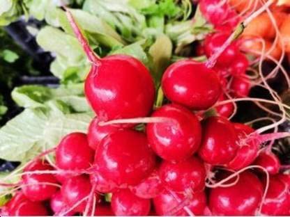 Green World RADISH IMPORTED SCARLET RED GLOBE, LAAL MULI SEEDS FOR KITCHEN GARDENING (200 seeds) (B09KCGTFM4) Amazon Price History, Amazon Price Tracker
