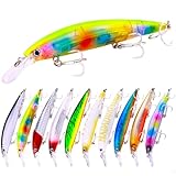 Vzuiwkfmr 10-Piece Saltwater Heavy Sinking Minnow Fishing Lures Deep Diving Jerkbaits Bionic Wobbler Hard Baits Specialized Lures for Seabass & Pike Fishing 5.12in/13cm 1.30oz/36.8g 6#