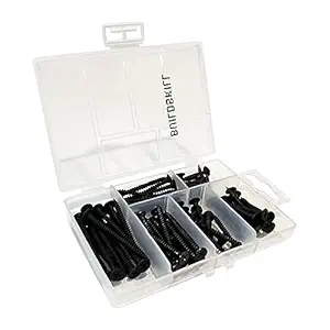 Buildskill 75 Pieces Gypsum Phillips Head Screw Sets with Reusable Transparent Case, Measuring Scale and Lock. 6 Length Options, Multipurpose Screws