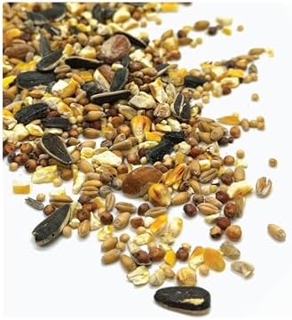 For Everybirdy Gourmet Wild Bird Food Blend, Wild Bird Seed Mix with ...