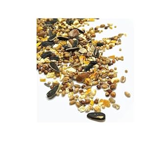 Gourmet Wild Bird Food Blend, Wild Bird Seed Mix with Peanuts 2.27kg (5lbs) for Blue Jays, Cardinals, Chickadees & Sparrows – Canadian Grown