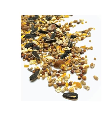 Gourmet Wild Bird Food Blend, Wild Bird Seed Mix with Peanuts 2.27kg (5lbs) for Blue Jays, Cardinals, Chickadees & Sparrows – Canadian Grown